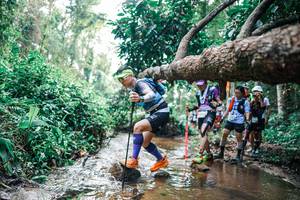 BIB: 
                            <button type="button" onclick="openModal(25374913)" class="btn btn-primary btn-sm float-right btn-popup" data-toggle="modal" data-target=".modal-high-quality">
                        <i class="fas fa-shopping-cart"></i> Add to Cart
                    </button>
                                            <button type="button" onclick="isThisMe(25374913, true)" class="btn btn-success btn-sm float-right btn-popup btn-isme hidden" data-toggle="tooltip" data-placement="bottom" title="นี่คือรูปของคุณใช่ไหม คลิกที่นี่เพื่อเอาเข้าอัลบั้ม">
                        <i class="fas fa-plus"></i> Add to album
                    </button>
                    <button type="button" onclick="isThisMe(25374913, false)" class="btn btn-warning btn-sm float-right btn-popup btn-isnotme hidden">
                        <i class="fas fa-ban"></i> Remove from album
                    </button>